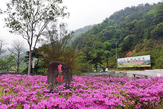 永春雪山风雅颂休闲度假山庄-酒店综合智能化应用案例